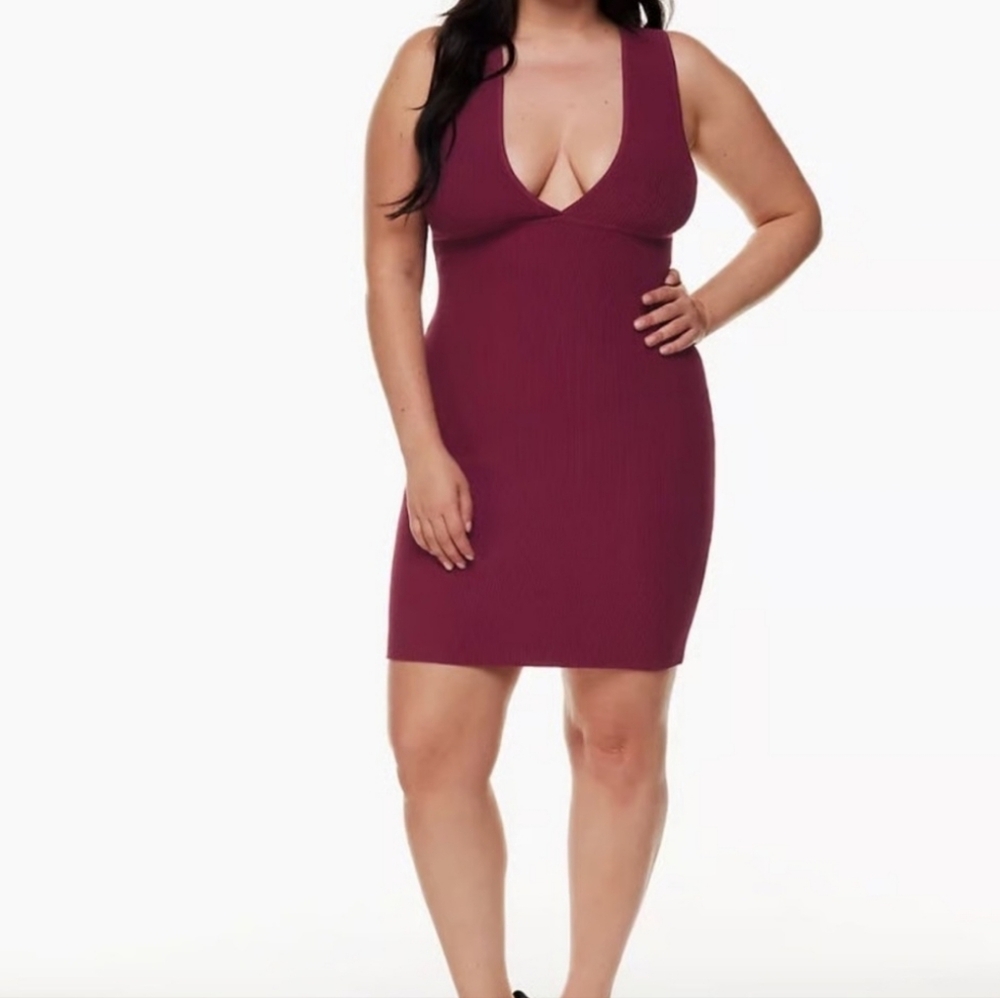 Aritzia | Babaton Sculpted Ribbed Knit Deep V-Neck Sleeveless Bodycon Dress Sz M